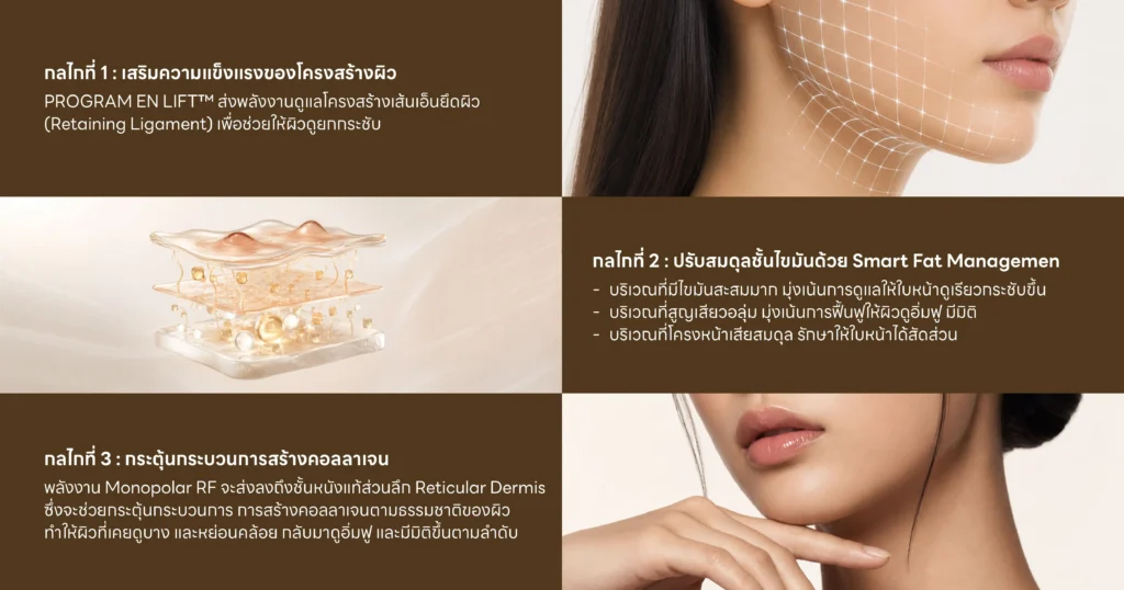 กลไกการทำงาน PROGRAM EN LIFT™